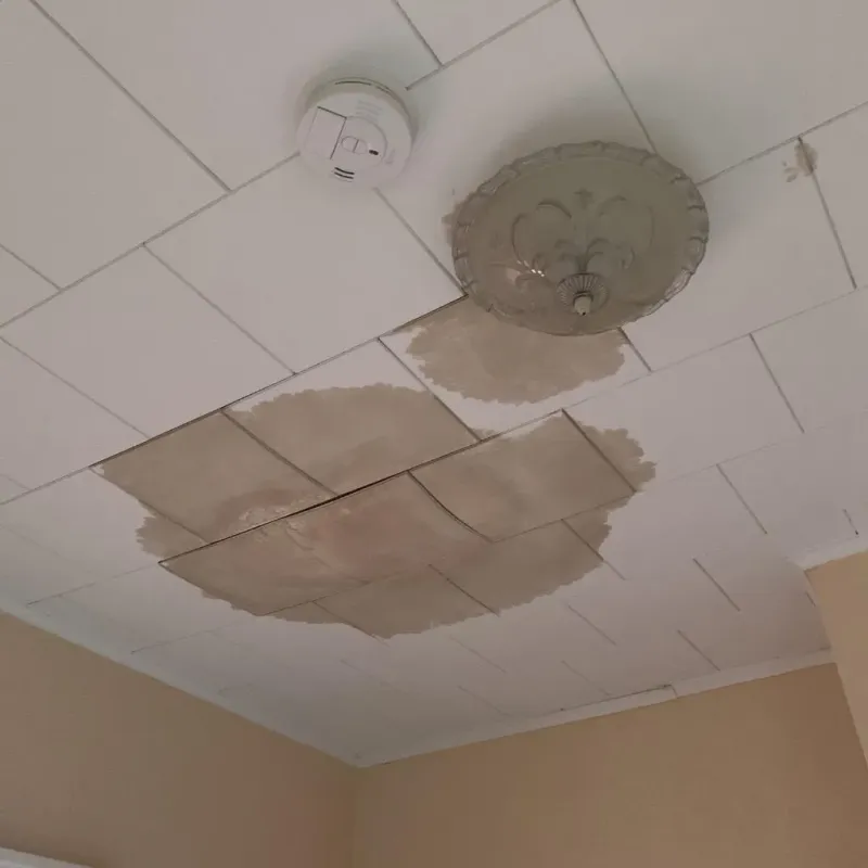 Ceiling Water Damage Repair in Curtisville, PA