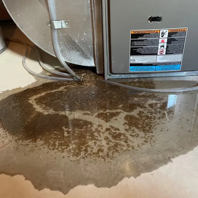 Pipe Burst and Leak Restoration in Curtisville, PA