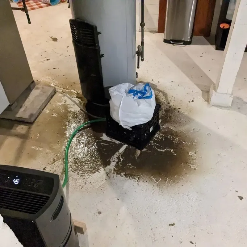 Sewage Backup Cleanup Service in Curtisville, PA